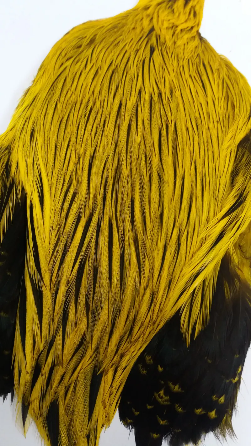 The Lakeland Brahma Rooster Cape in Silver Badger Dyed Yellow  from Whiting Farms-8